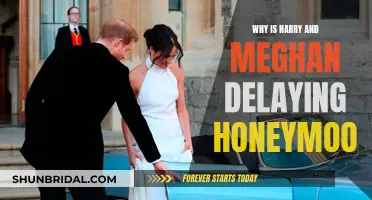 Royal Couple's Honeymoon Delay: Personal or Political?