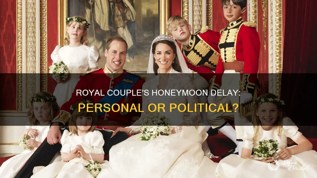 why is harry and meghan delaying honeymoon