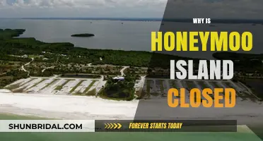 Honeymoon Island Closure: Reasons Behind the Temporary Shutdown Explained