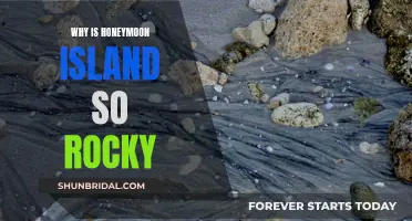 Honeymoon Island's Rocky Mystery: What Lies Beneath?