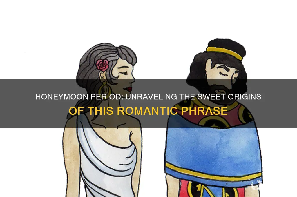 why is it called a honeymoon period