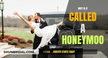 Honeymoon: Etymology and the Sweet Origin of the Term