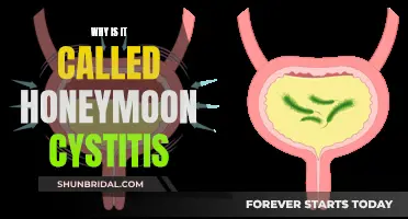 Honeymoon Cystitis: Why the Name?
