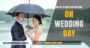 Rain on Your Wedding Day: Unveiling the Lucky Charms Behind the Myth