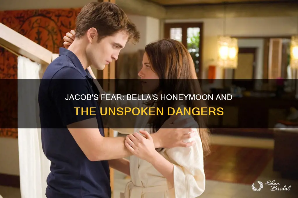 why is jacob so concerned about bella going on honeymoon