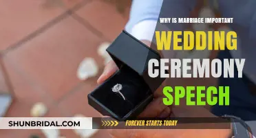 The Significance of Marriage: Crafting a Meaningful Wedding Ceremony Speech