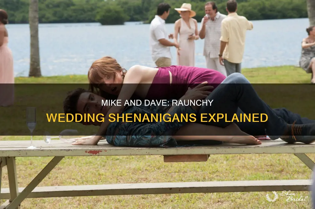 why is mike and dave need wedding dates rated r