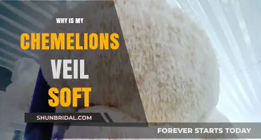 Why Is My Lion's Mane Mushroom Soft? Causes and Solutions