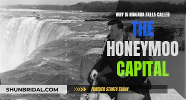 Honeymoon Capital: Niagara Falls' Romantic History