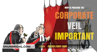 Why Piercing the Corporate Veil Protects Stakeholders and Ensures Accountability