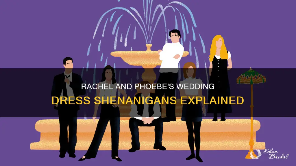 why is rachel and phoebe wearing wedding dresses in friends