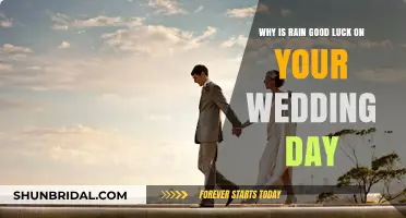 Rain on Your Wedding Day: A Lucky Charm for Lasting Love