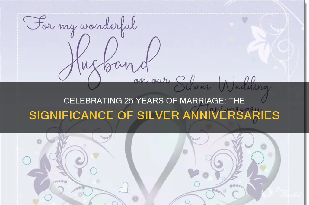 why is the 25th wedding anniversary silver