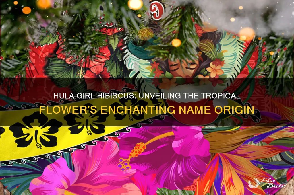 why is the flower called hula girl hibiscus