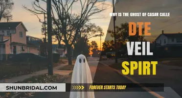 Unveiling the Mystery: The Ghost of Casar Calle's Eternal Veil