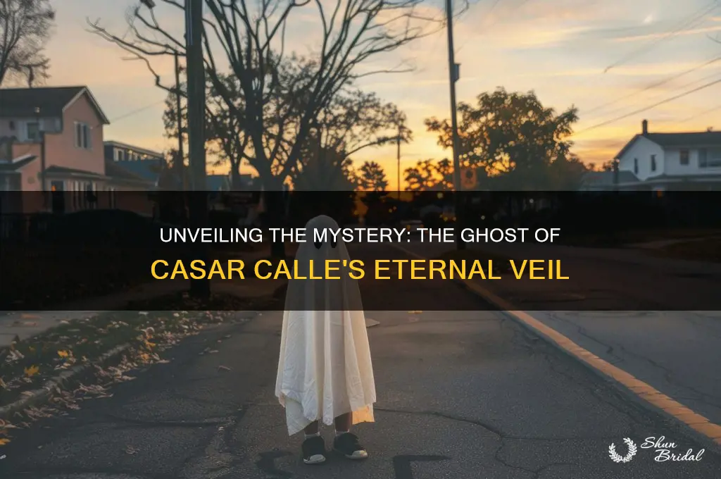 why is the ghost of casar calle dte veil spirt