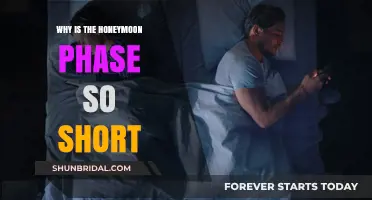Why Honeymoon Phases Fade Fast: Unraveling the Short-Lived Bliss