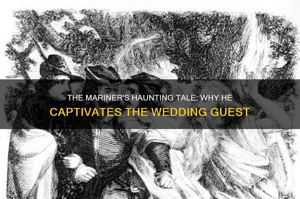 why is the mariner speaking to the wedding guest