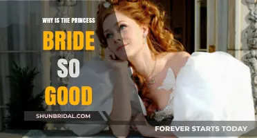 Enchanting Elements: The Timeless Appeal of The Princess Bride