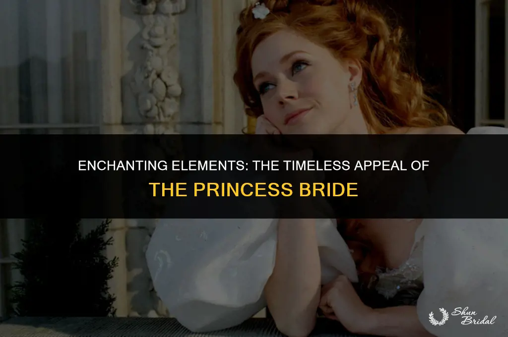 why is the princess bride so good