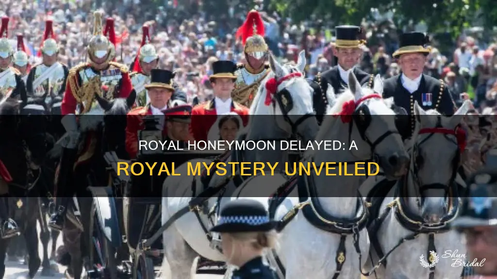 why is the royal honeymoon delayed