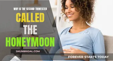 The Second Trimester: A Time of Bliss and Baby Bliss