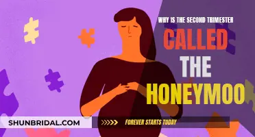 The Blissful Honeymoon Phase of Pregnancy Explained