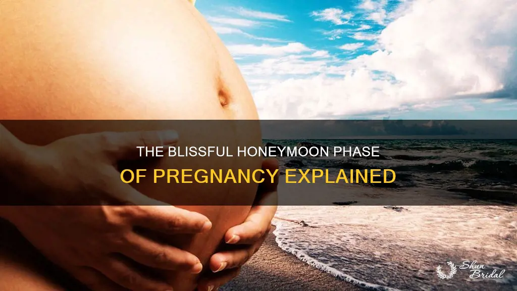 why is the second trimester called the honeymoon