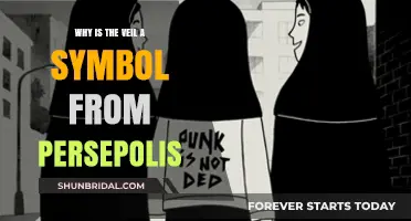 The Veil's Symbolic Power in Marjane Satrapi's Persepolis