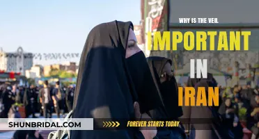 The Veil's Significance: Unveiling Iran's Cultural and Political Symbol