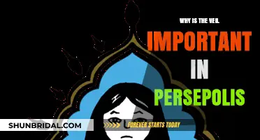 The Veil's Significance in Persepolis: Symbolism, Identity, and Resistance