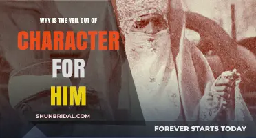 Unveiling the Mystery: Why His Veil Breaks Character