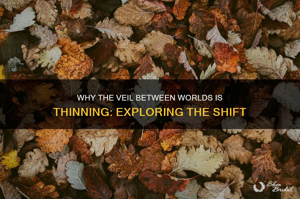 why is the veil thinning