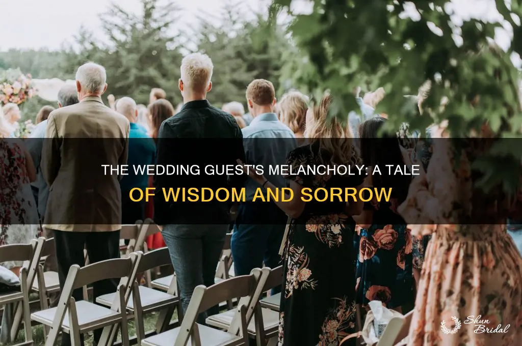 why is the wedding guest a sadder and wiser man