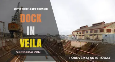 Veila's New Shipyard Dock: Unveiling the Reasons Behind Its Construction