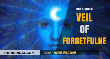 The Veil of Forgetfulness: Unraveling the Mystery of Lost Memories
