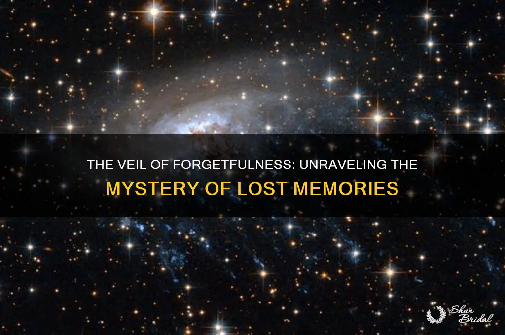 why is there a veil of forgetfulness
