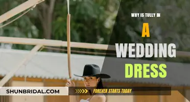 The Mystery of Tully's Wedding Dress