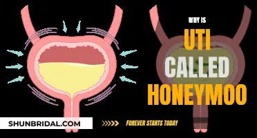 Honeymoon and UTI: An Unlikely, Painful Pair