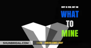 Why Veil Isn't Listed Among Top Cryptocurrencies to Mine