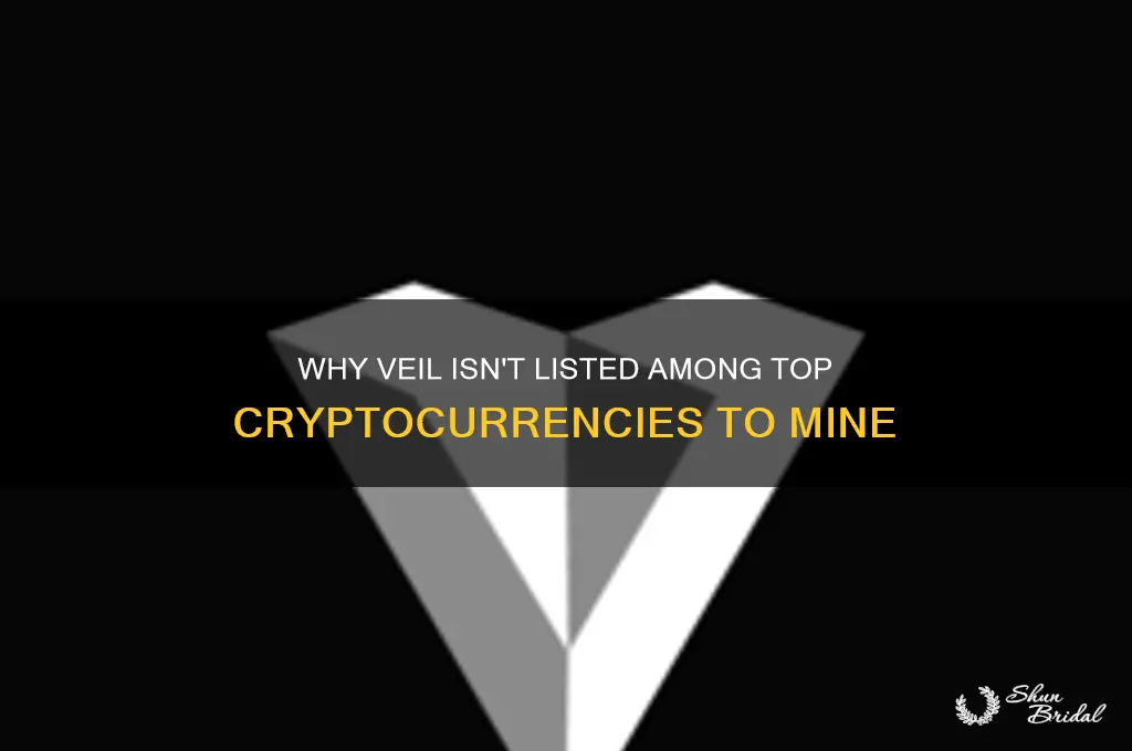 why is veil not on what to mine