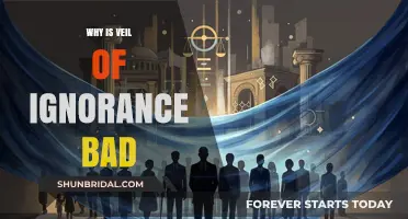 Veil of Ignorance: Unintended Consequences and Ethical Limitations Explored
