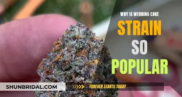 Wedding Cake Strain: Why is it so Popular?