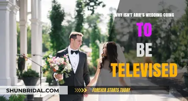 Arie's Wedding: Why the Cameras Won't Roll This Time
