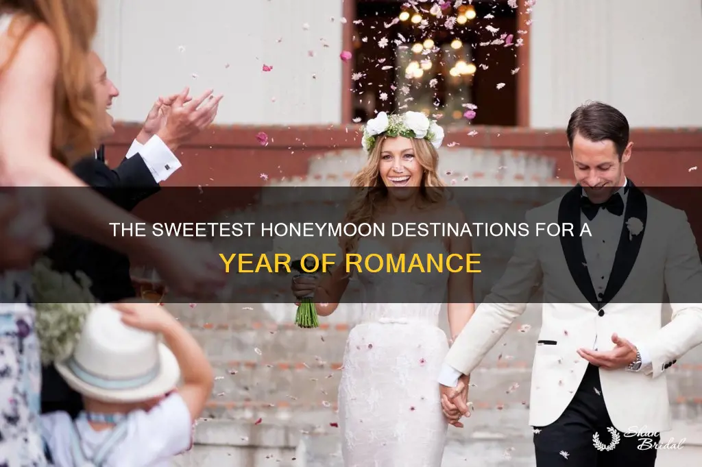 why just one year the honey honeymooners