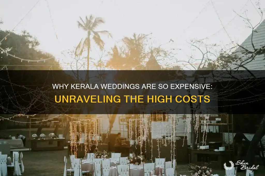 why kerala wedding so cost