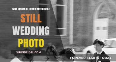 Blurred Lights, Sharp Subjects: Wedding Photo Magic