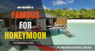 Maldives Honeymoon Paradise: Luxury, Romance, and Tropical Bliss Explained