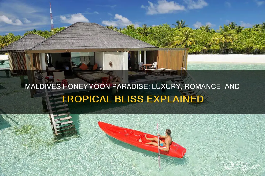 why maldives is famous for honeymoon
