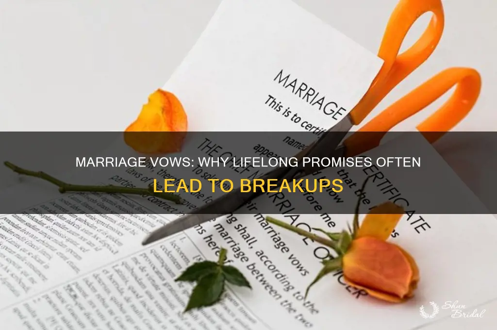 why marriages make vows but still end